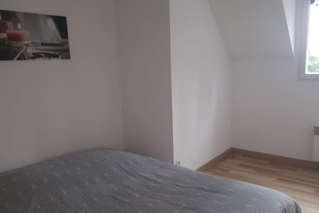 Logement Plein Centre De Plerin A Proximite Des Plages Et Des Commerces Luaran gambar